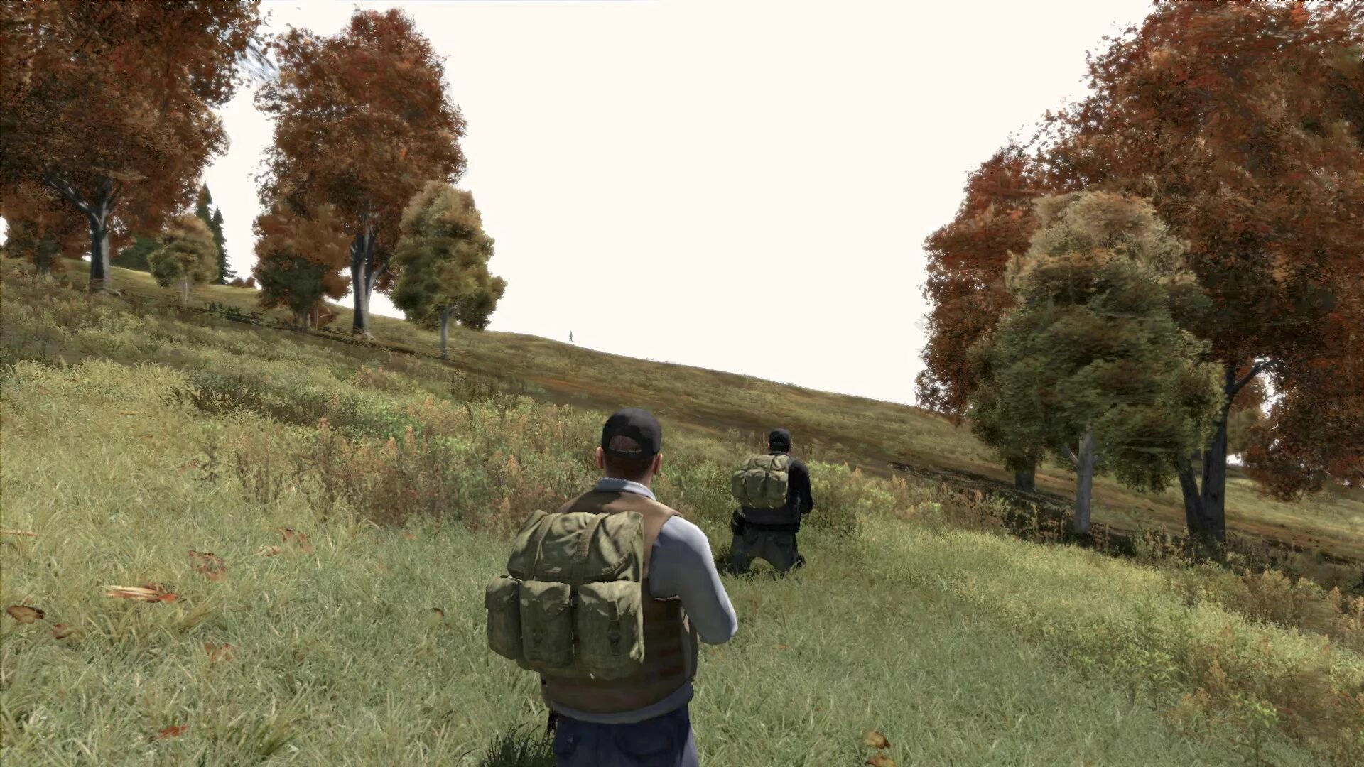 Сурвайвал игра DAYZ. В3с DAYZ. Day z Arma 2. Дейз на андроид