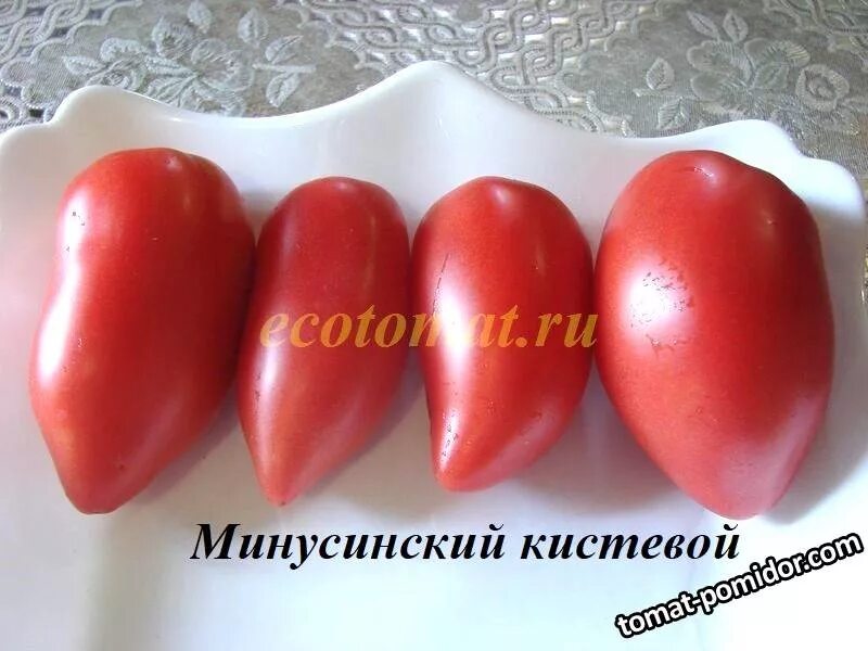 Сорт томата минусинский кистевой. Минусинское сердце кистевое. Минусинское сердце кистевое. Томат бычье сердце минусинское кистевое. Помидоры минусинские бычье сердце.