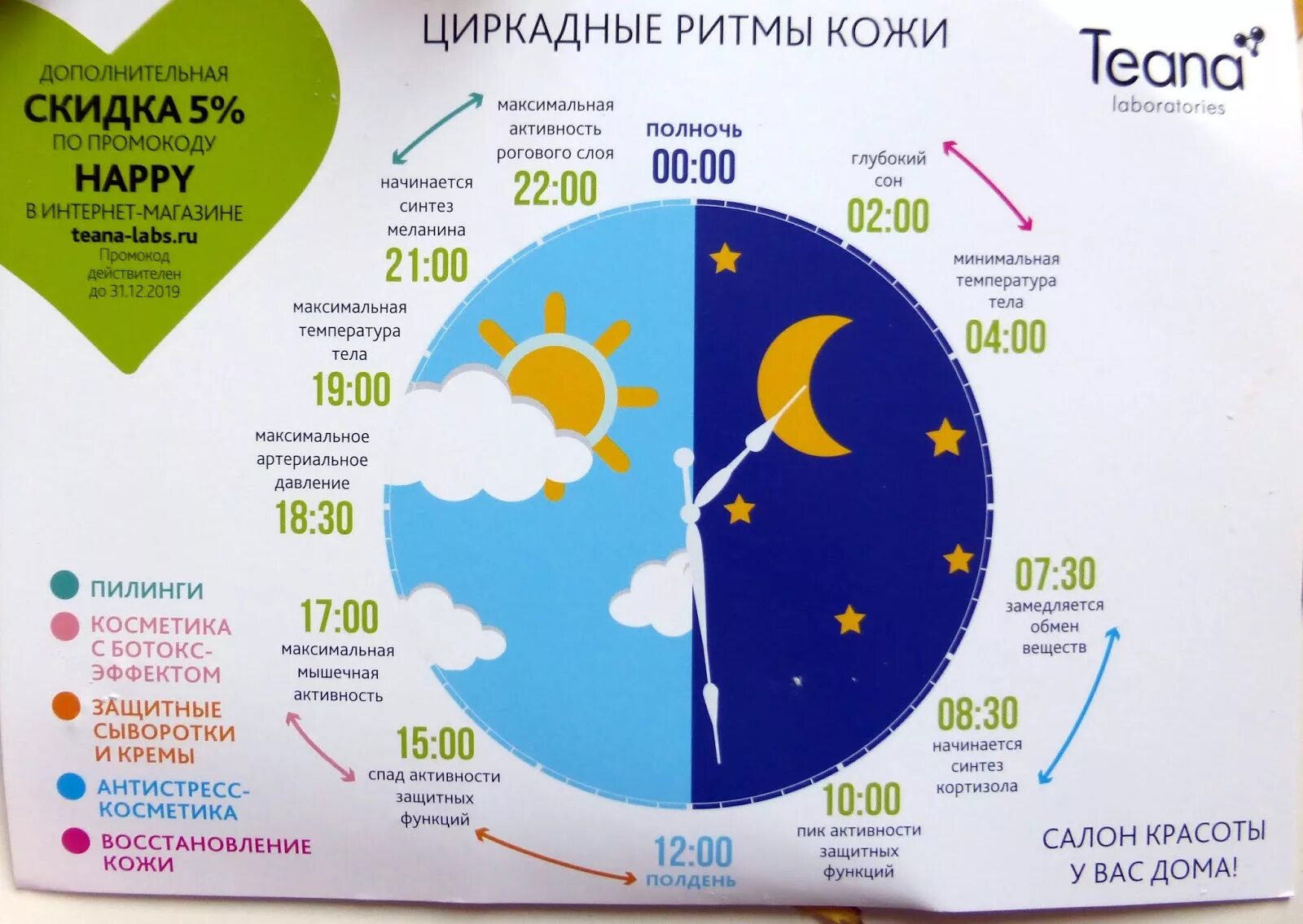 Циркадные ритмы человека по часам. Циркадные биологические ритмы. Суточные ритмы человека. Суточный ритм сон бодрствование. Биологически 5 часы