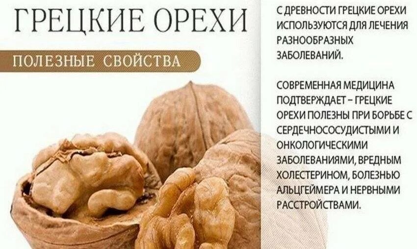 Чем полезен грецкий орех. Свойства грецкого ореха для мужчин. Чем полезен грецкий орех. Что полезного в грецких орехах. Чем полезен грецкий орех.