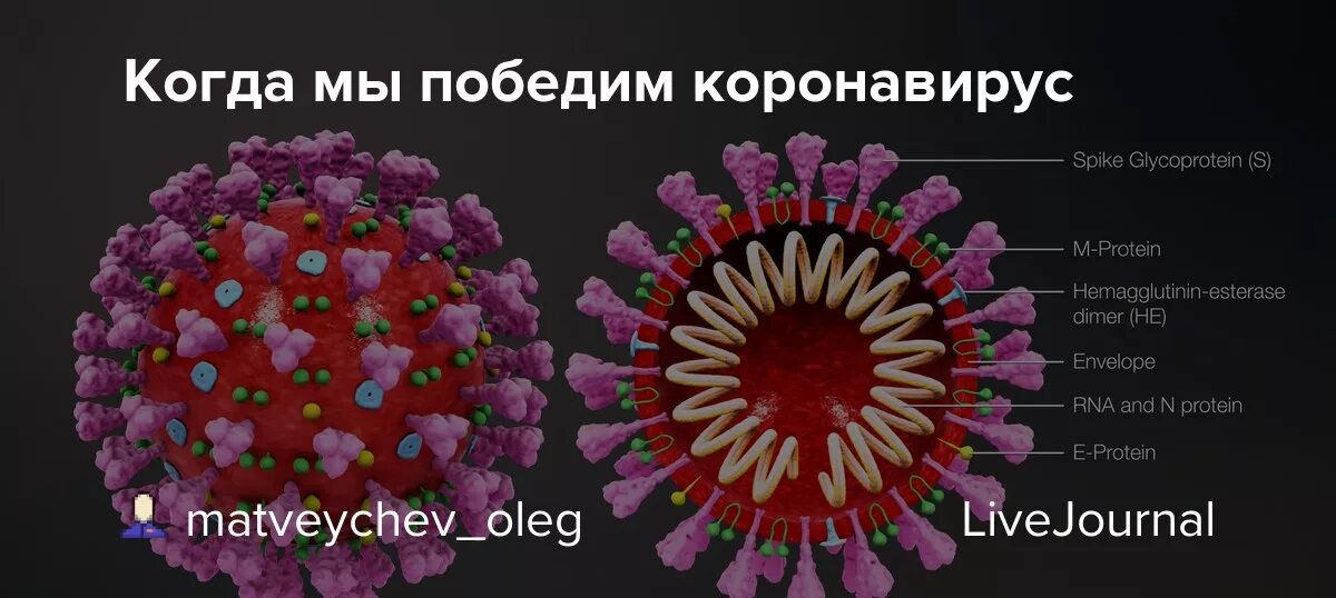Статистика смертей от коронавируса в мире. Вирус ковид 19. Статистика коронавируса в мире. Ура мы победили коронавирус. Как появился коронавирус.
