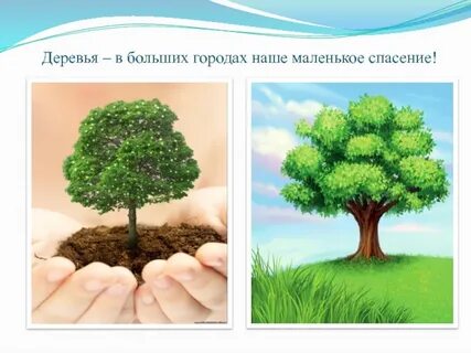 Зачем нужна древесина