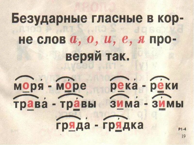 Море безударная гласная. Слова с безударной гласной. Слова с безударными гласными. 10 Слов с безударной гласной. Слова с проверяемой безударной гласной.