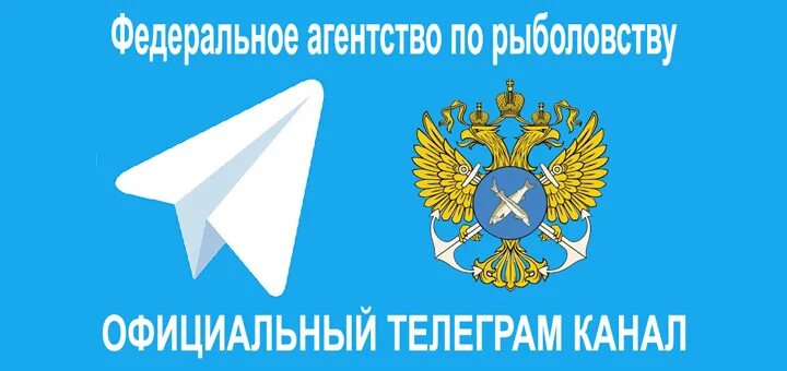 Сахалино курильское управление росрыболовства. Скту росрыболовства по рд. Сахалино курильское ту росрыболовства. Сахалино-курильское территориальное управление росрыболовства. Руководитель сахалино курильского управления росрыболовства.