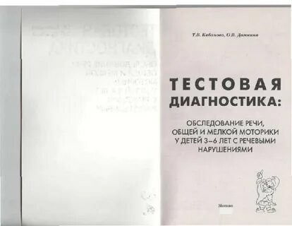Индивидуальное диагностическое обследование ребенка