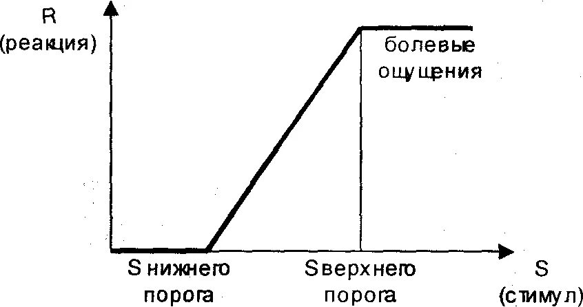 Стимул порог