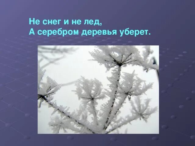 Загадка про иней. Загадка про иней. Не снег не лёд а серебрём деревья уберёт. Серебром деревья уберет. И не снег и не лёд а серебром деревья уберёт ответ на загадку.