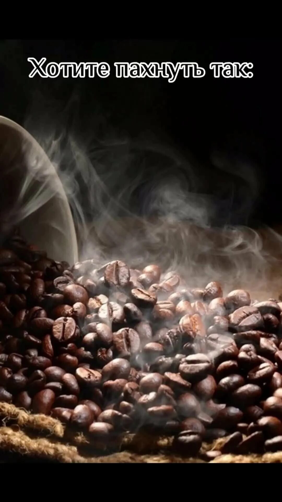 Запах кофейных зерен. Девушка в зернах кофе. Девушка нюхает кофе. Кофейное зернышко. Кофейные зерна.