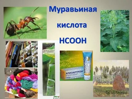 Цвет муравьиной кислоты