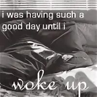 The phone woke kim up ответы