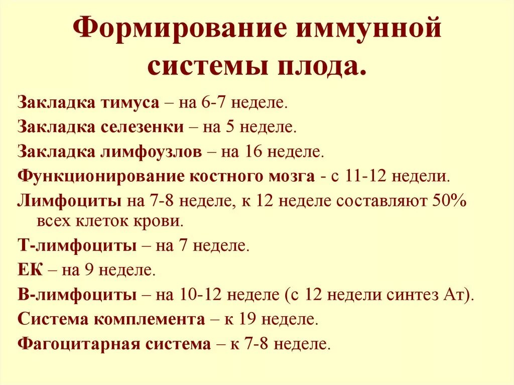 В каком возрасте формируется. Сроки формирования иммунитета у новорождённых. Этапы формирования иммунитета. Формирование иммунной системы плода. Становление иммунитета у детей.