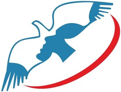 Политическая партия сила народа