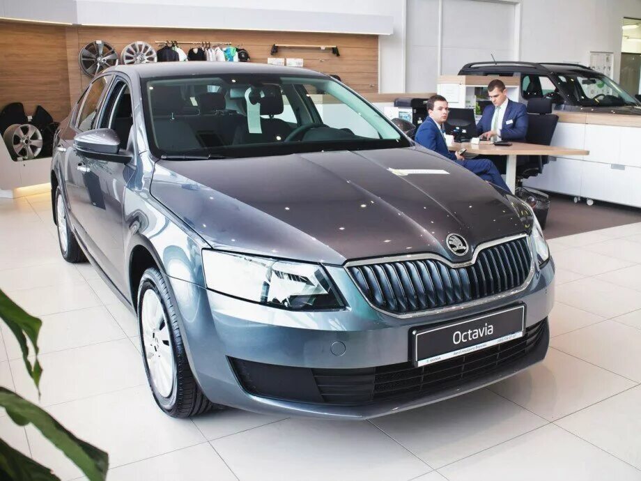 Skoda Octavia 2017 серая. Skoda Octavia новая.