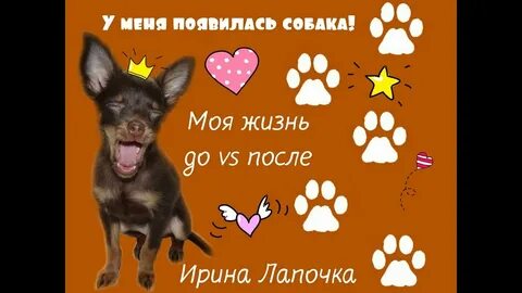 Кобель не вскочит