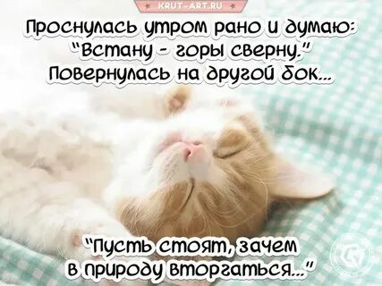 Улыбнулось солнышко спать ушли метели маленький
