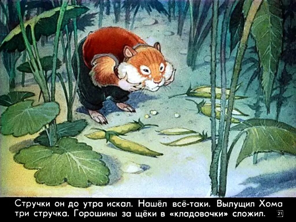 Хома ю ю. Как хома рассмеялся. как хома рассмеялся диафильм. хома и суслик диафильм. приключения хомы диафильм.