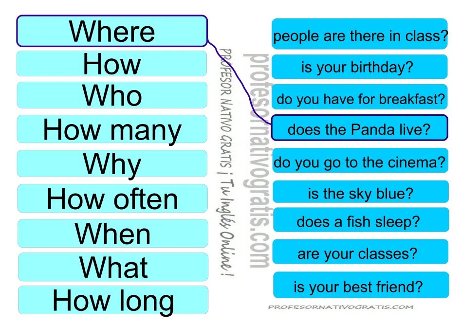 The question is often asked. WH вопросы в английском языке. WH-questions в английском языке. WH questions упражнения. WH вопросы в английском языке упражнения.