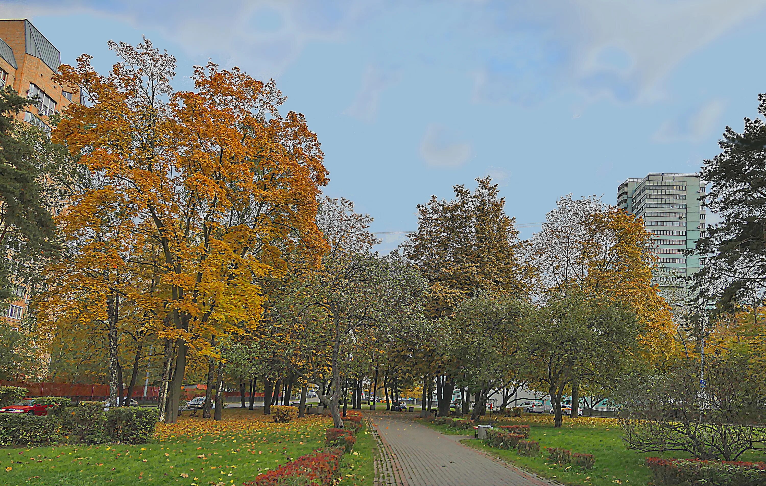 школа 117 гарибальди 8. школа гарибальди. школа гарибальди.