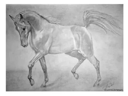 Итальяндық суретшілер BDSM суретін салады. Қарау.