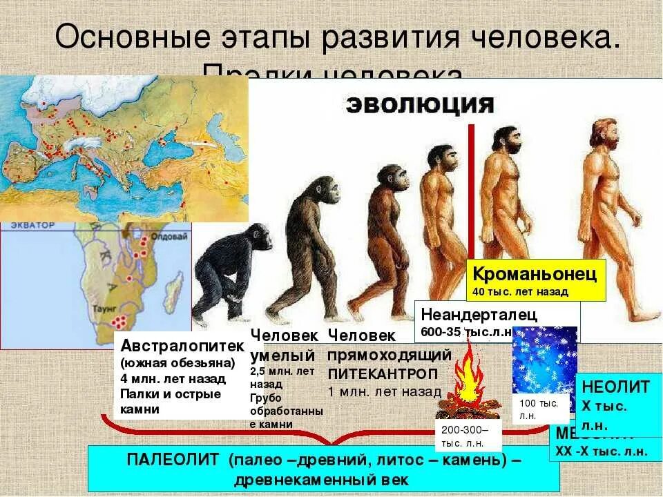 Становление человеческого в человеке. Стадии развития человека австралопитек. Австралопитек неандерталец кроманьонец таблица 5 класс биология. Австралопитек этапы эволюции. Предки человека.