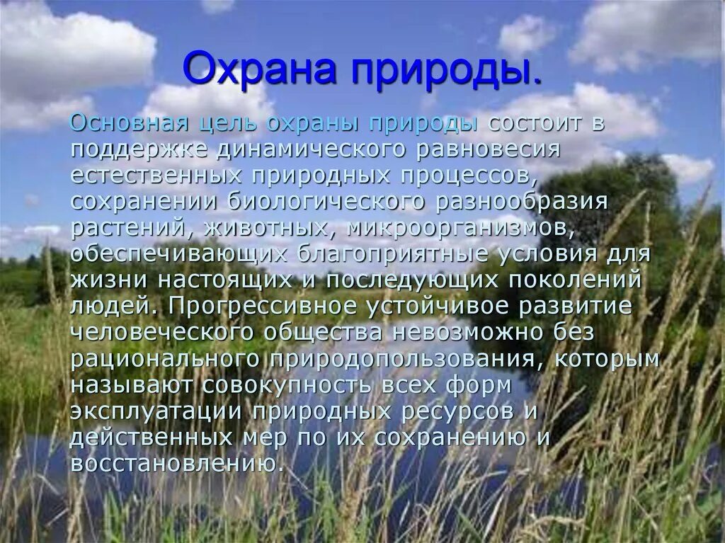 Охрана природы доклад. Доклад о охране природы в нашем крае. Проект охрана природы в нашем крае. Доклад о защите природы.