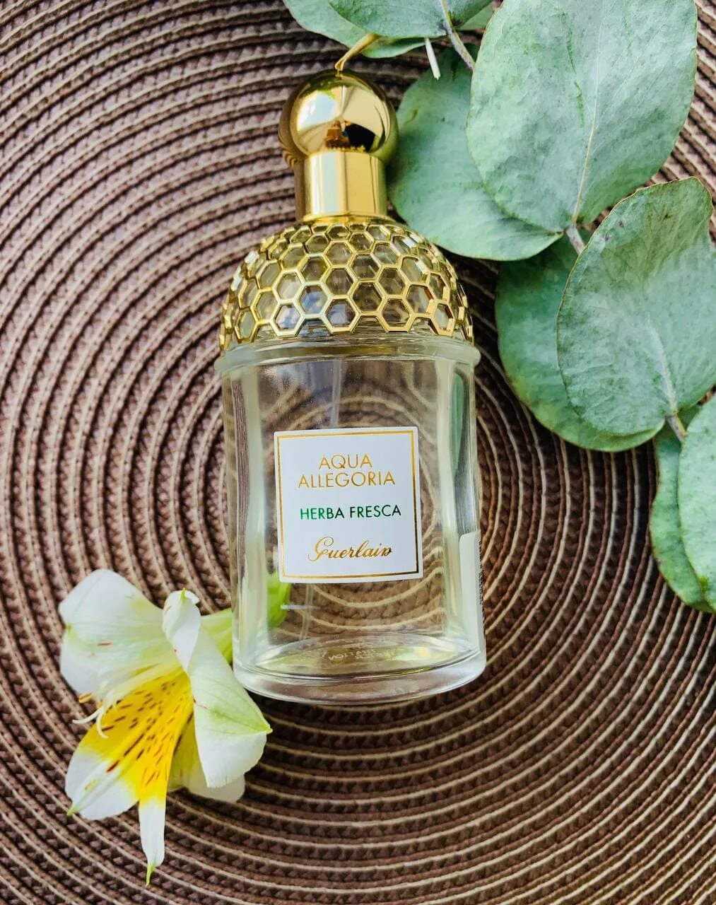 Guerlain Aqua Allegoria herba fresca. Духи Aqua Allegoria herba fresca. Aqua Allegoria herba fresca от Guerlain. Guerlain Aqua Allegoria herba fresca реклама.