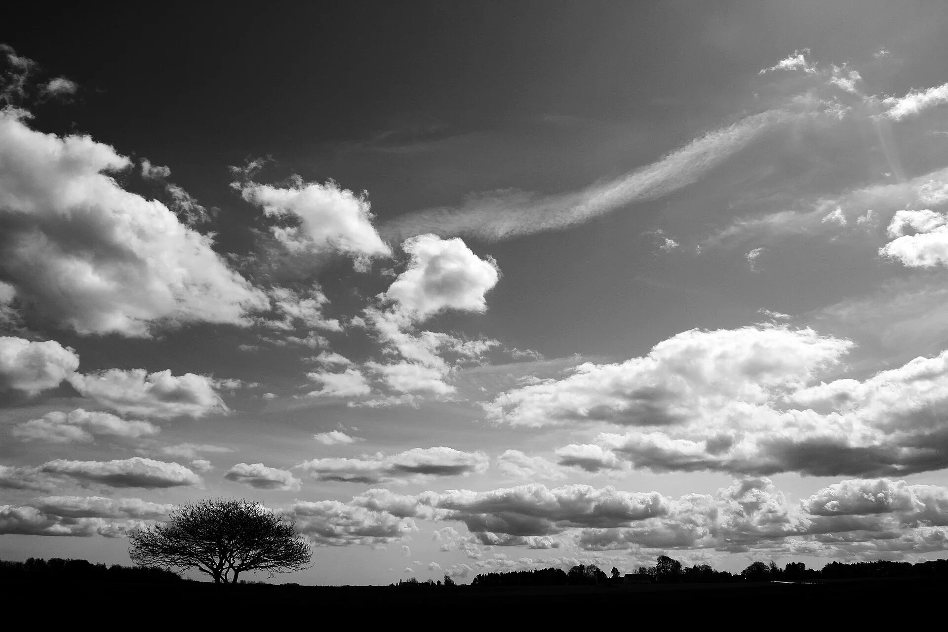 Free Images : horizon, cloud, black and white, sky, atmosphere, weather, cumulus