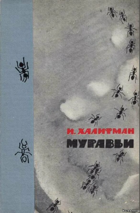 Операция Лесные муравьи Халифман. Халифман, и.а. "муравьи". Иосиф Халифман муравьи. Халифман Иосиф Аронович. Читать серые муравьи