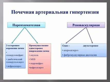 Почечная аг