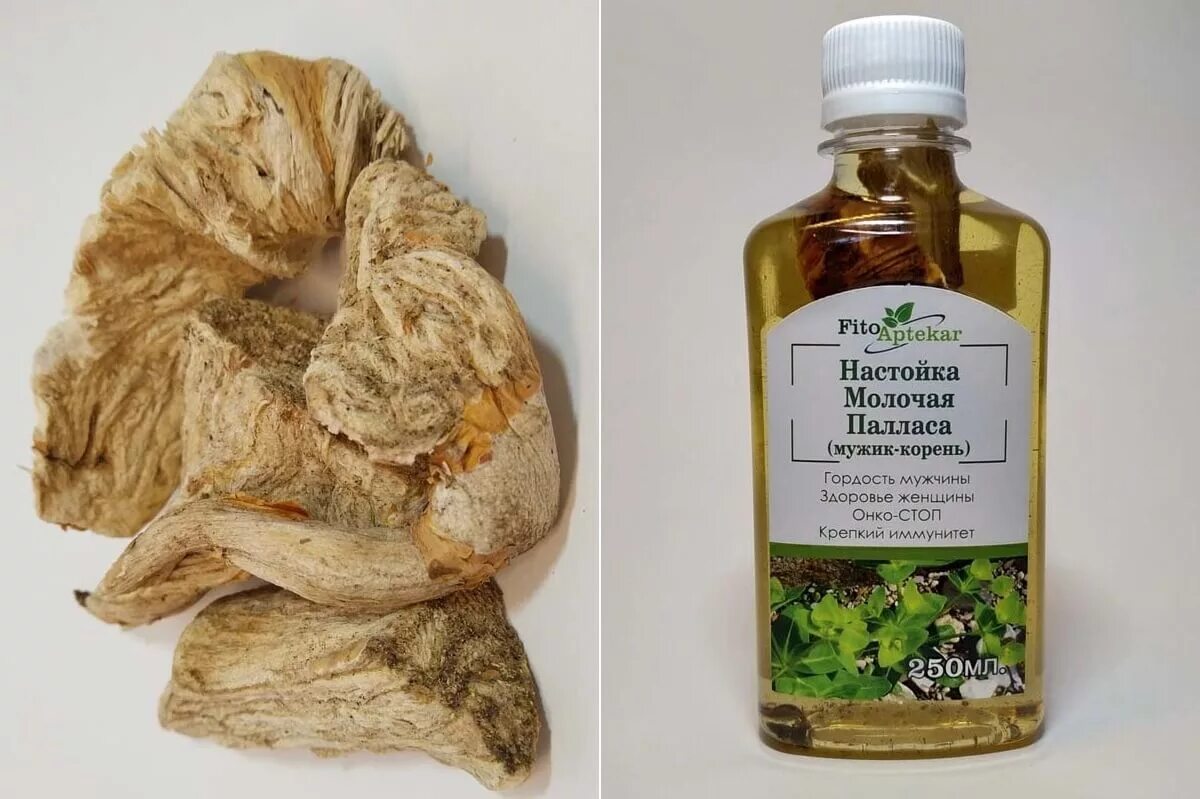 Мужик корень настойка. Настойка молочая. Настойка мужик корня. Сухой экстракт копеечника красный корень. Растение молочай палласа.
