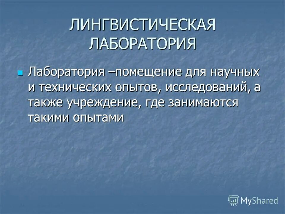 лаборатория лингвистики. лаборатория лингвистики. умница развивающие пособия для детей. генеральный директор анна кронгауз. мобильная лингвистическая лаборатория.