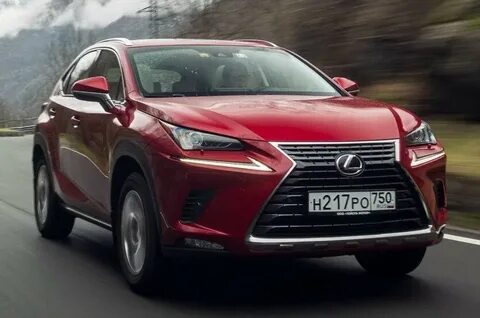 Lexus nx 2021