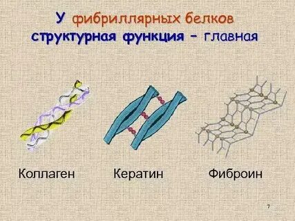 Препараты на основе белка