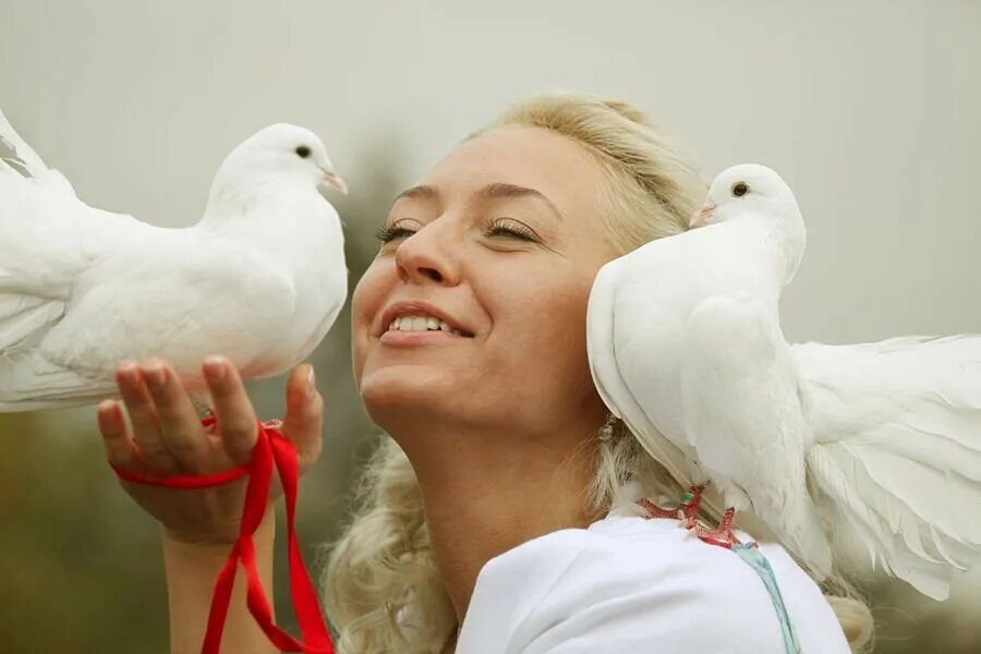 голубь на подоконнике примета. голубь в полете. голуби белые на траве. прилетел белый голубь примета во двор. голубь летит.