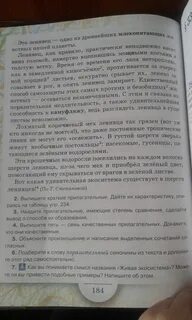 Выписать краткое 4