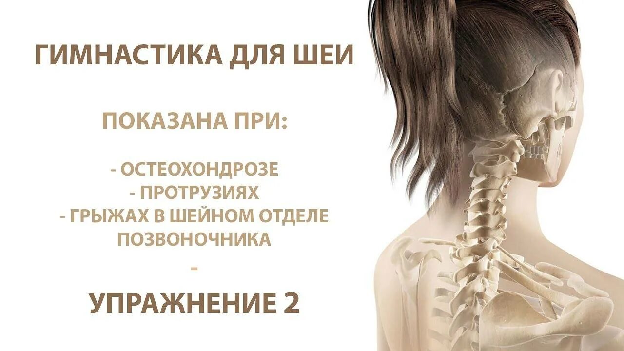Гимнастика при шейном протрузии. Занятия для шеи при остеохондрозе. упражнения для позвоночника и шеи. упражнения при грыже в шейном отделе. остеохондроз шейного отдела гимнастика.