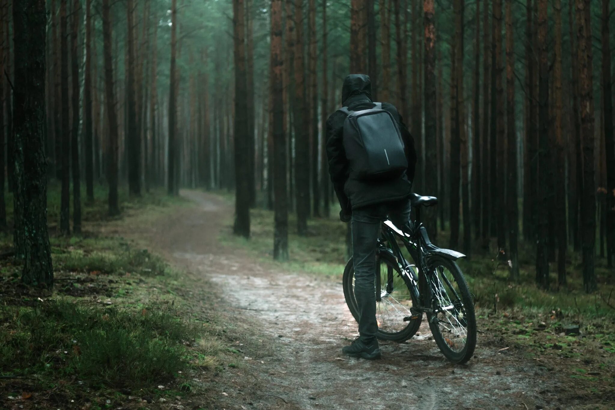 Лес велосипедист. Велосипедист в лесу. Прогулка на велосипеде по лесу. Мужчина на велосипеде. Велосипед в лесу.