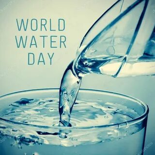 Glasses of water a day