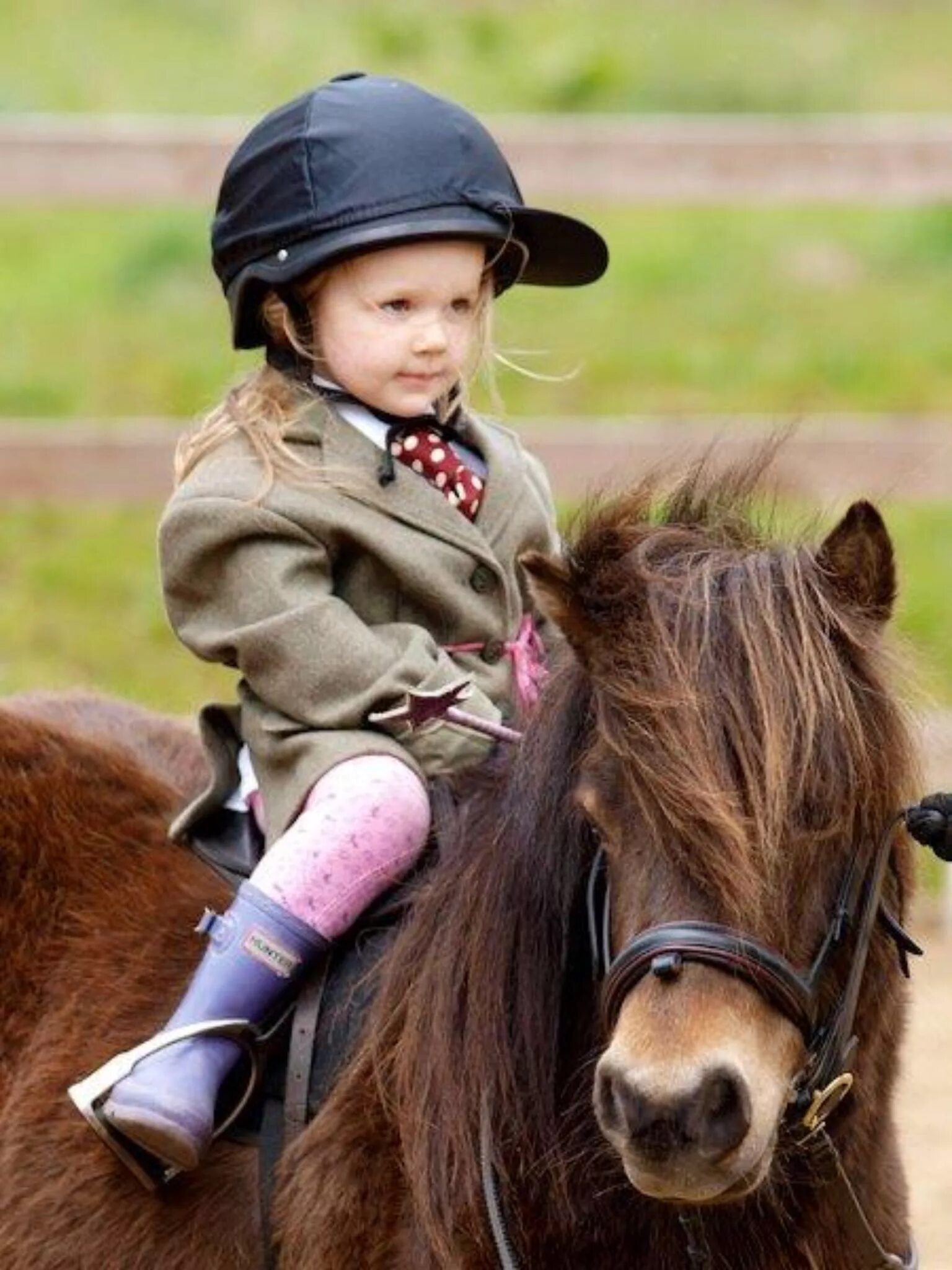 Horse kids. Лошади и пони. Лошадка для детей. Детская фотосессия с лошадкой. Детская фотосессия с лошадьми.