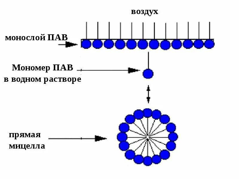 Заряд пав. Схема строения молекул пав. поверхностно-активные вещества схема. строение молекулы анионных пав. схематическое строение мицелл пав в водном растворе.