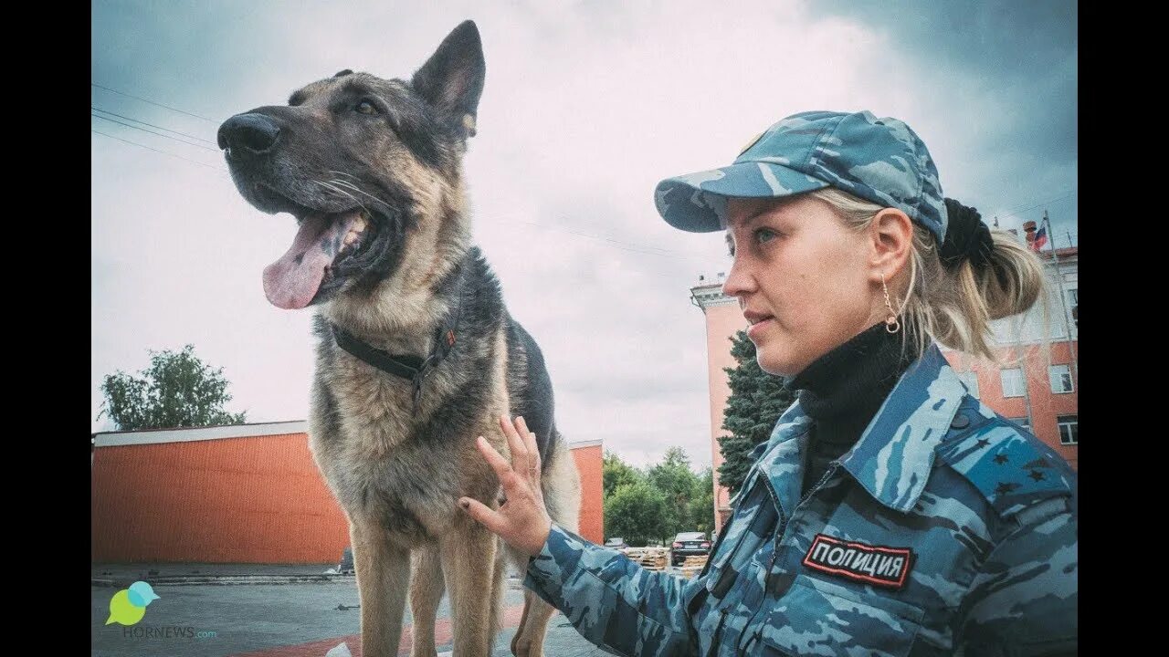 Выбрать кинолога. Выбрать кинолога
