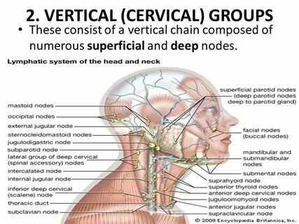 Internal node