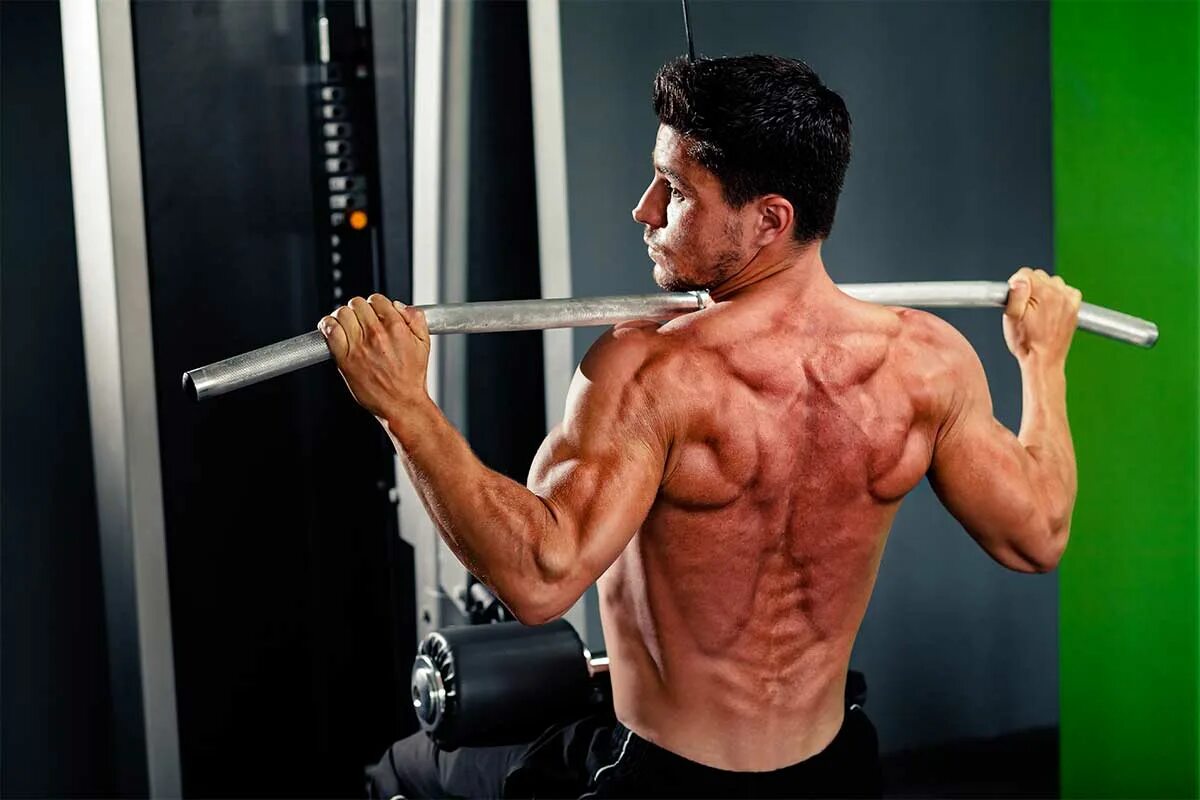 Врач занимающийся мышцами. Мускулистая спина. Мышцы спины фото. Круглая мышца спины. Тренинг на гипертрофию мышц.