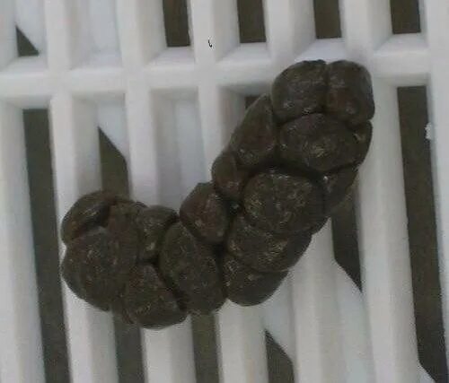 Форма человеческого кала бристольская шкала. Кал коричневого цвета. Кал тёмно серого цвета причины у взрослого. Бристольская шкала формы кала таблица. Шкала цвета кала.