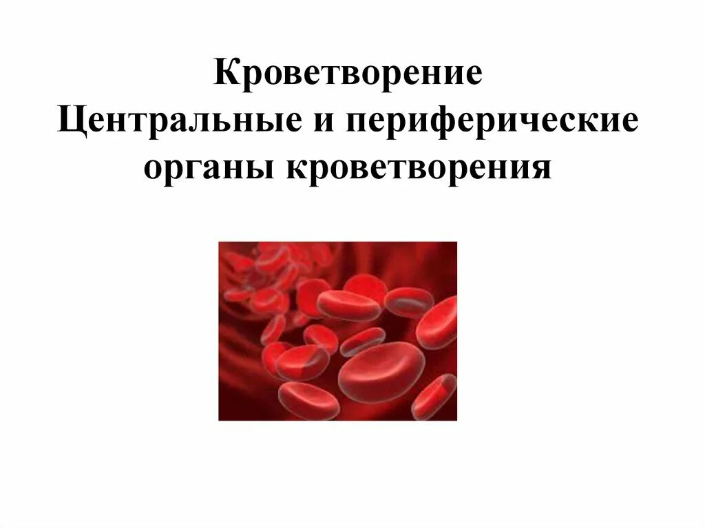 Обеспечивает кроветворение. Центральные и периферические органы кроветворения. Кроветворение презентация. Заболевания органов кроветворения у детей. Периферических органов кроветворения презентация.