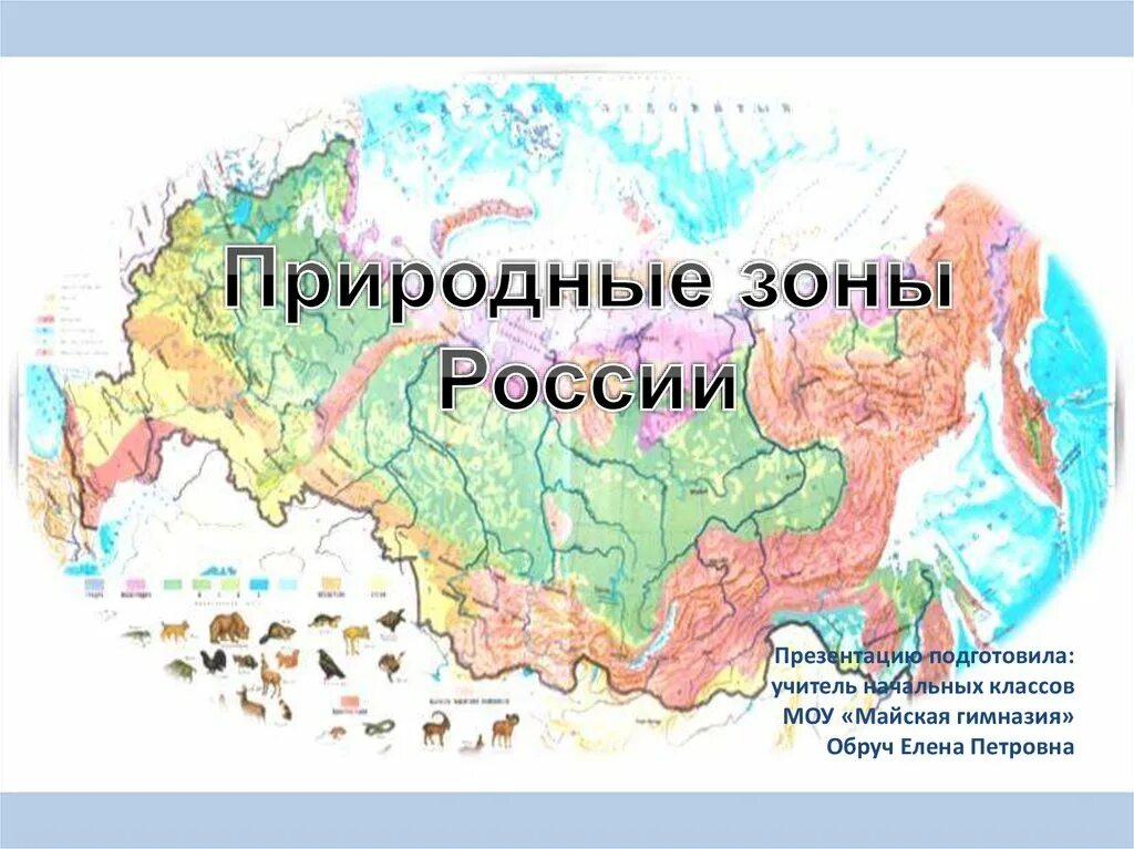 Как выглядят природные зоны россии Карта зон росси