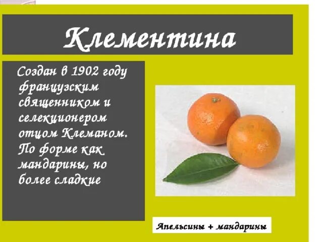 Инбридинг и аутбридинг. Аутбридинг растений. Методы селекции аутбридинг. Аутбридинг примеры растений.