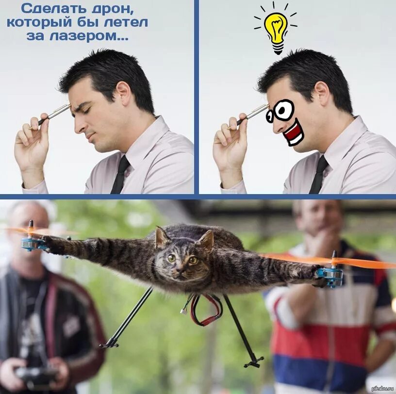 Кот дрон. Квадрокоптер из кота. квадрокоптер из чучела кота. котокоптер мем. котокоптер картинки.