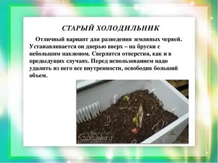 Как разводить червей