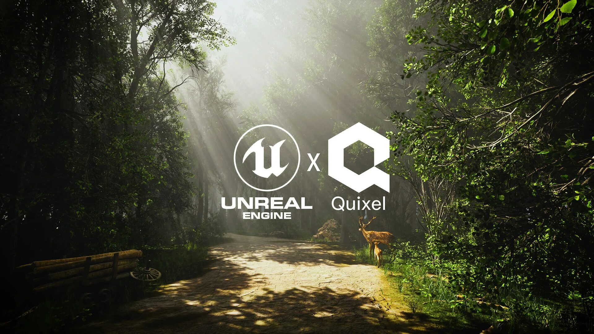 Quixel bridge unreal engine. Quixel megascans. megascans trees. megascans logo. quixel bridge unreal engine 5.
